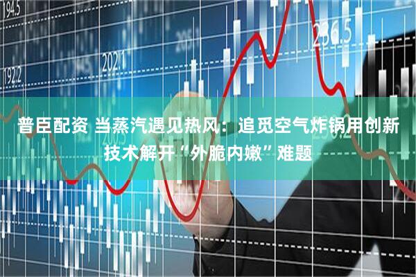 普臣配资 当蒸汽遇见热风：追觅空气炸锅用创新技术解开“外脆内嫩”难题